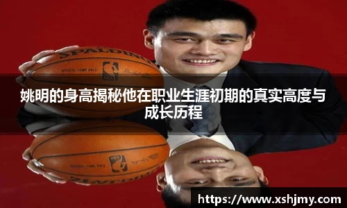 姚明的身高揭秘他在职业生涯初期的真实高度与成长历程